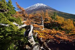 平日の富士山400