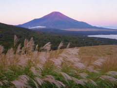 週末の富士山（新作1037）