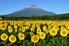 平日の富士山85