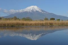 平日の富士山288