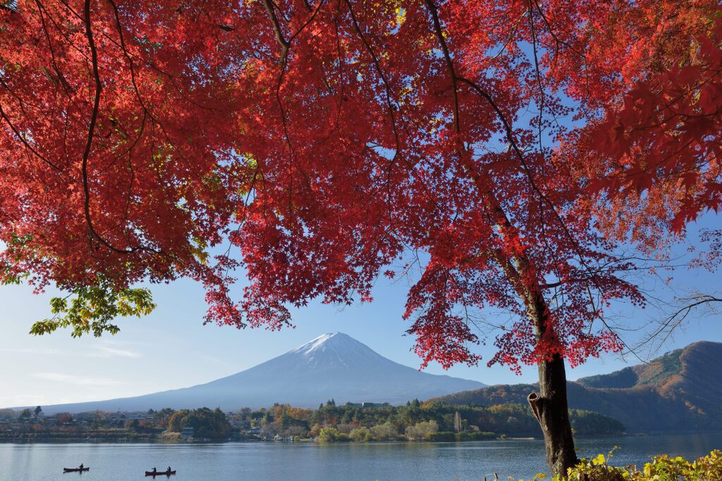 平日の富士山894