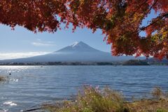 平日の富士山923
