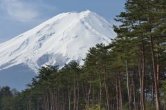 平日の富士山705
