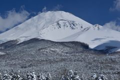 平日の富士山248