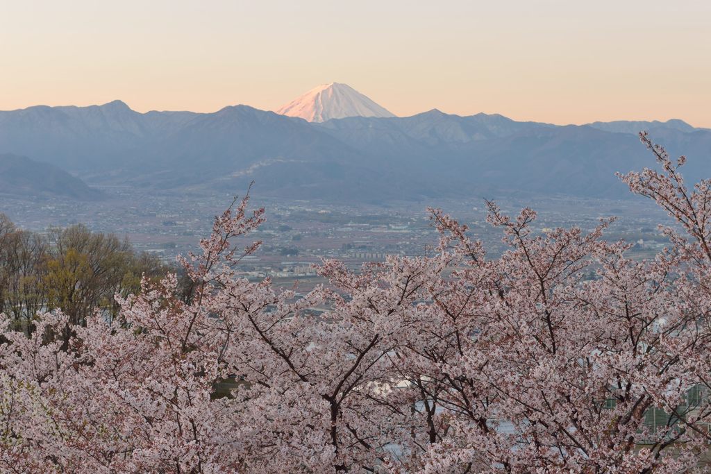 週末の富士山（新作1137）