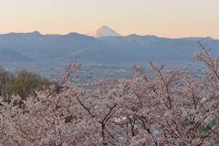 週末の富士山（新作1137）