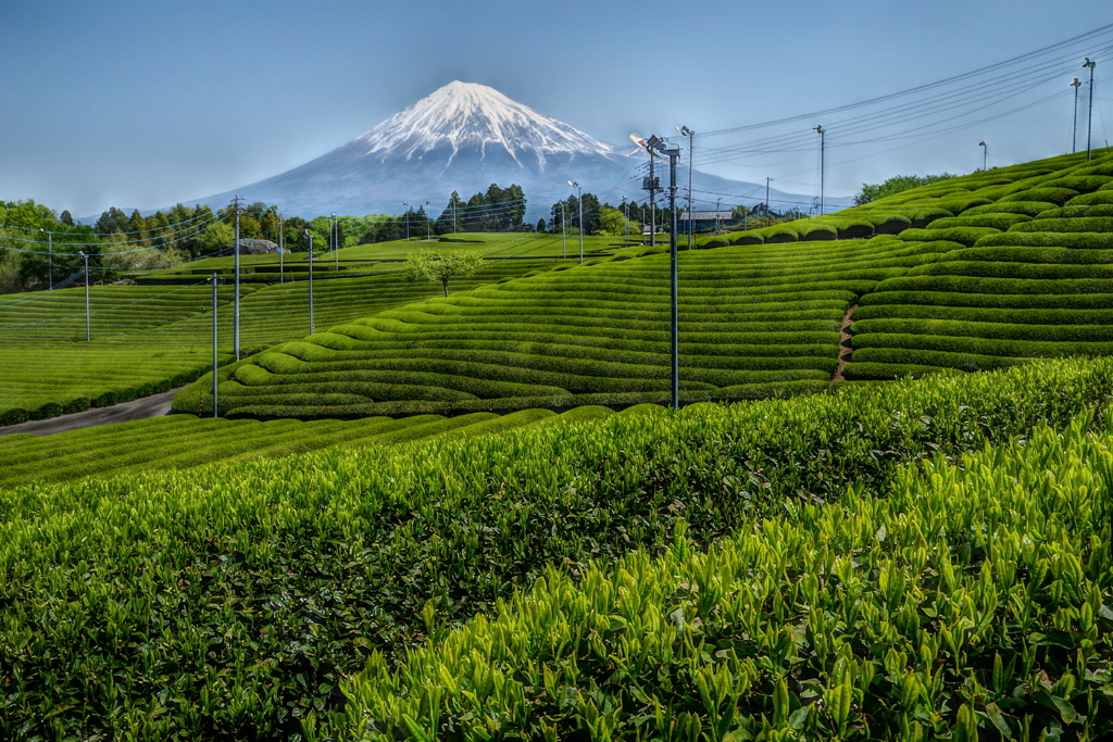 週末の富士山（新作647）