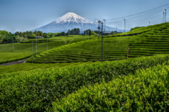 週末の富士山（新作647）