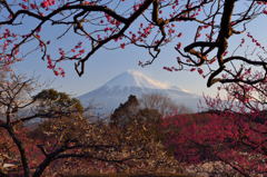 週末の富士山67
