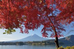 平日の富士山895