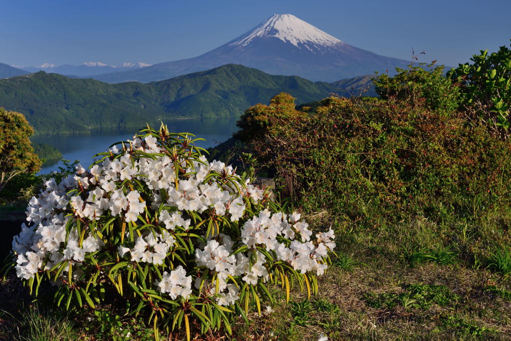週末の富士山47