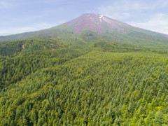 平日の富士山358