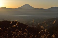 週末の富士山362