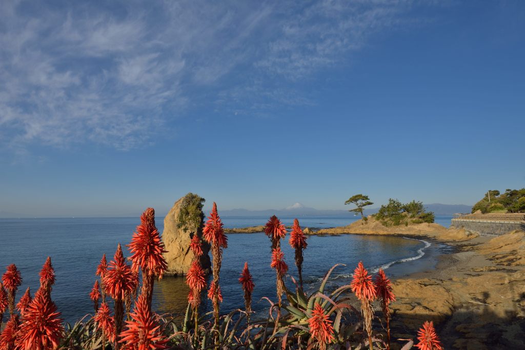週末の富士山（新作714）