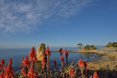 週末の富士山（新作714）