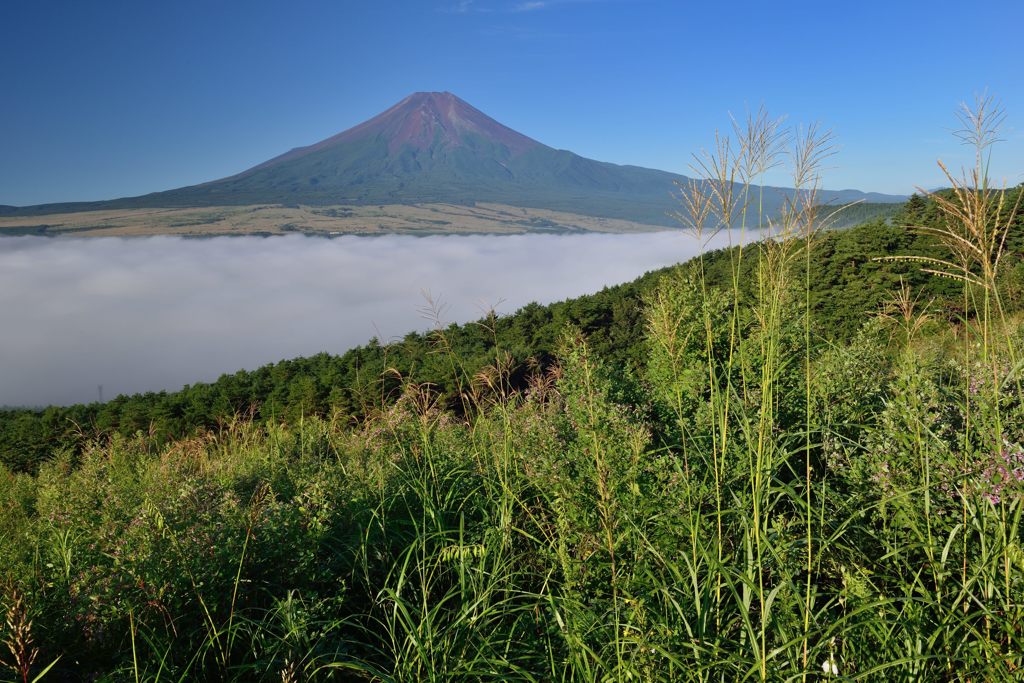 平日の富士山102