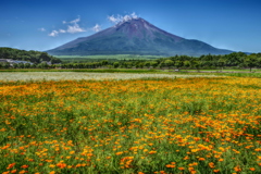 平日の富士山70