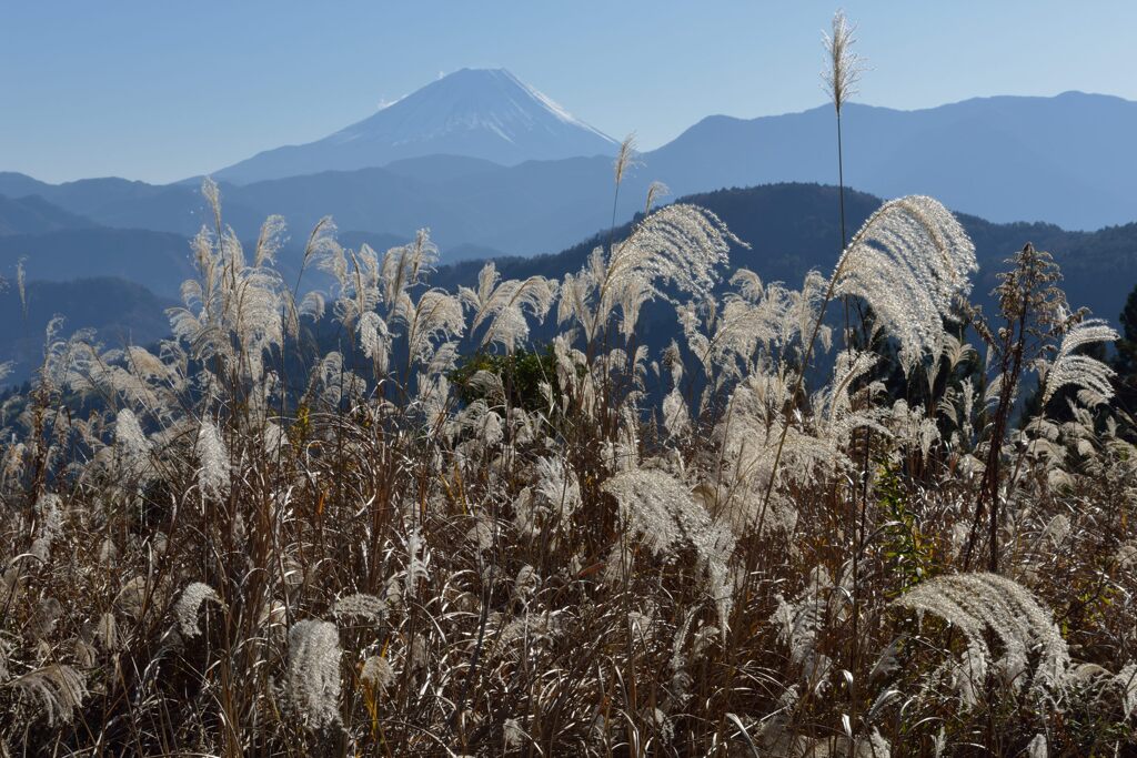 平日の富士山980