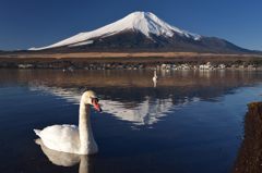 週末の富士山（新作98）