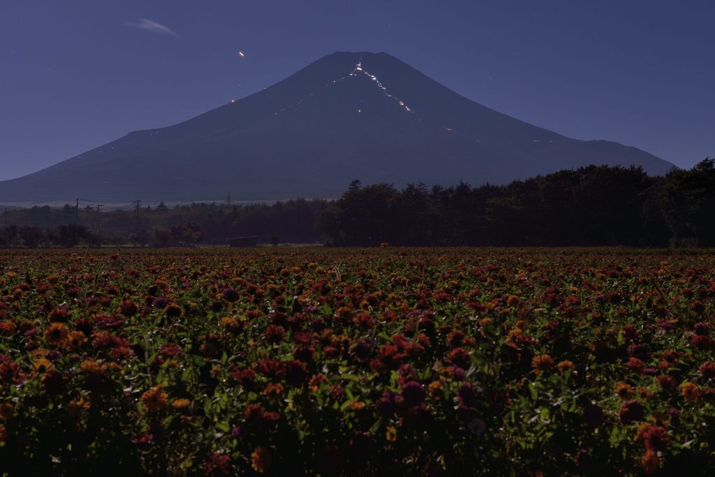週末の富士山（新作997）