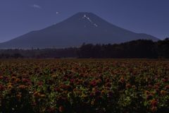 週末の富士山（新作997）