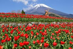 週末の富士山（新作836）