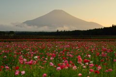 平日の富士山336