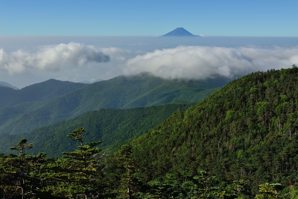 週末の富士山（新作934）