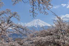 週末の富士山（新作1150）