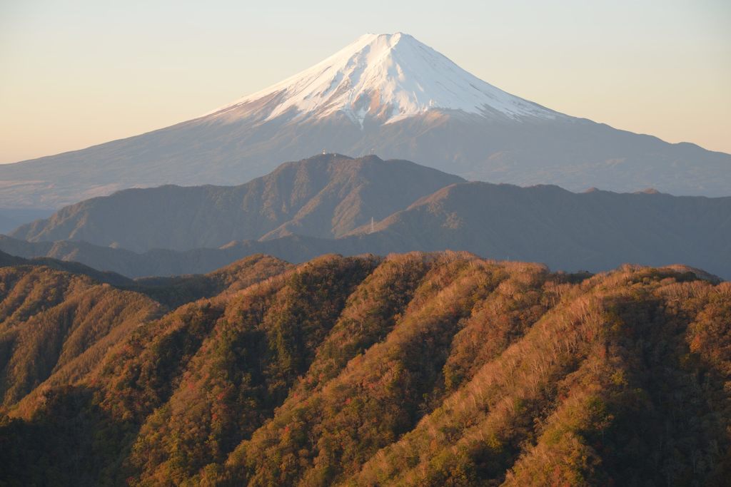 週末の富士山（新作1049）