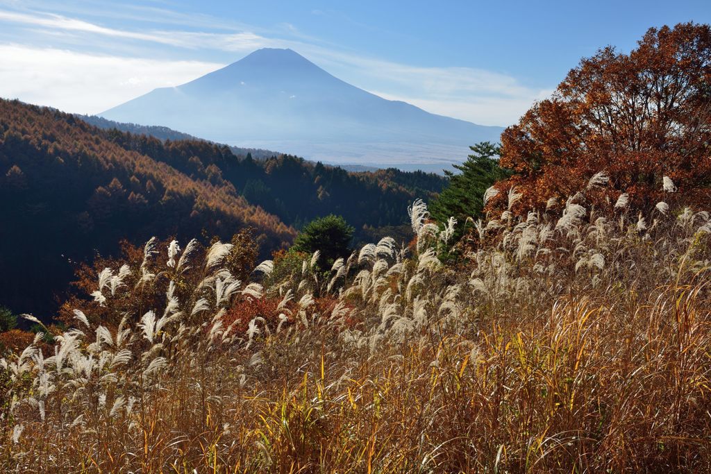 平日の富士山426