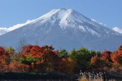 平日の富士山853