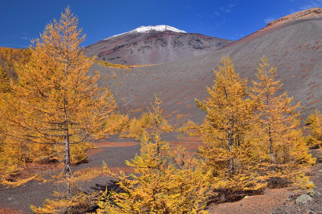 週末の富士山（新作51）