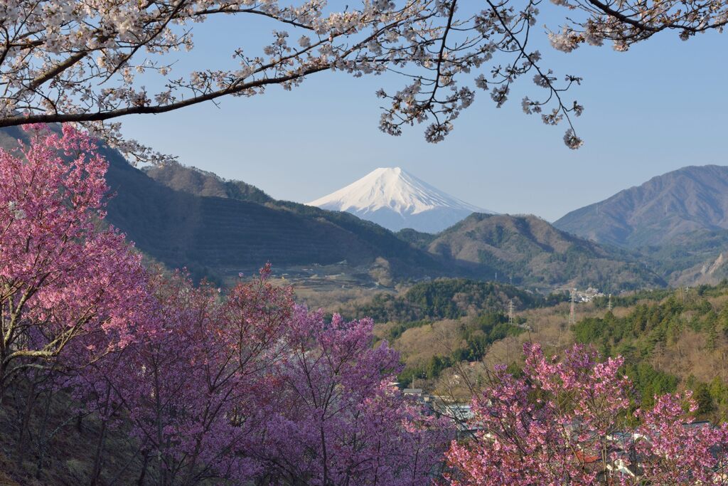 平日の富士山1086