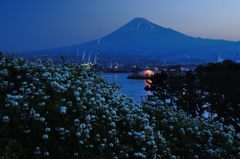 週末の富士山（新作208）