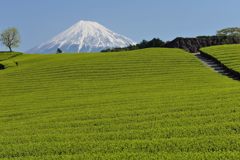 週末の富士山（新作616）