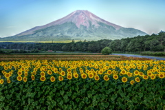 平日の富士山88