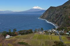 平日の富士山541