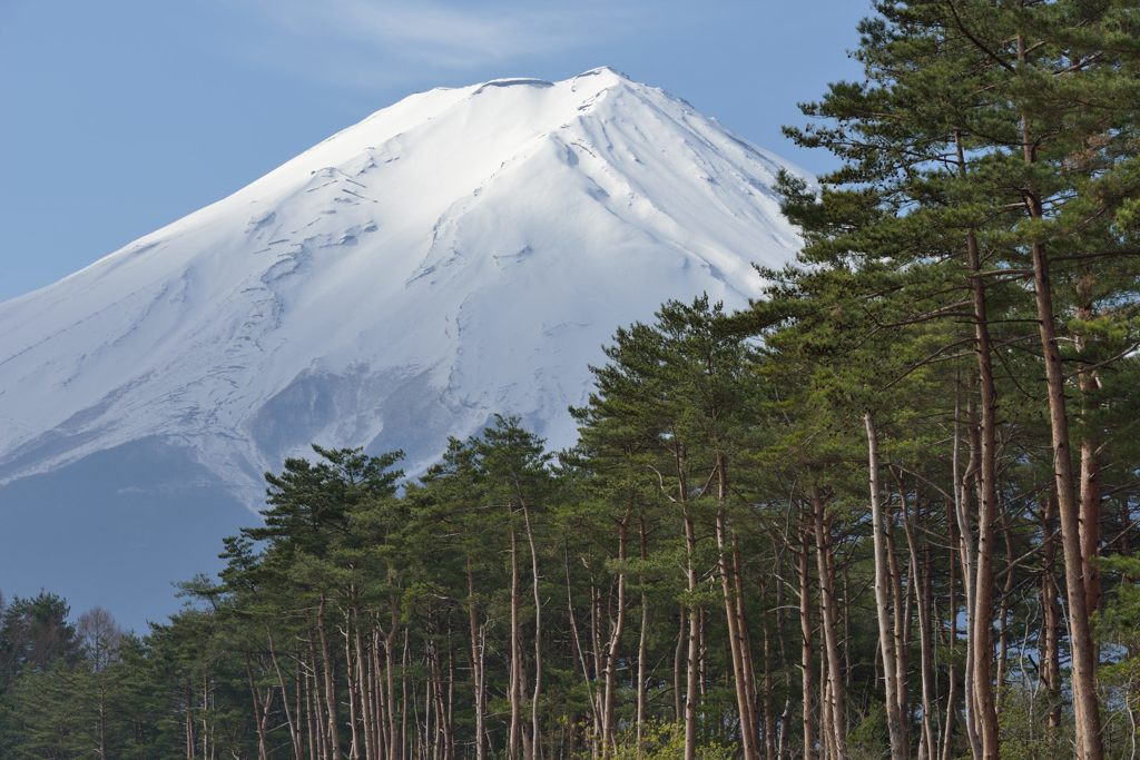 平日の富士山704