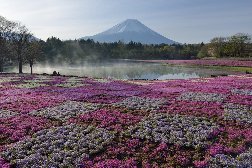 週末の富士山（新作1187）