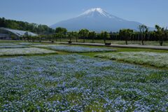 週末の富士山68