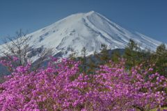 週末の富士山（新作611）