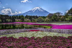 平日の富士山294