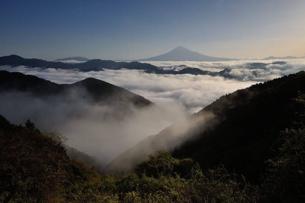 平日の富士山19
