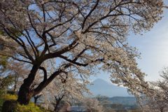 週末の富士山（新作1134）