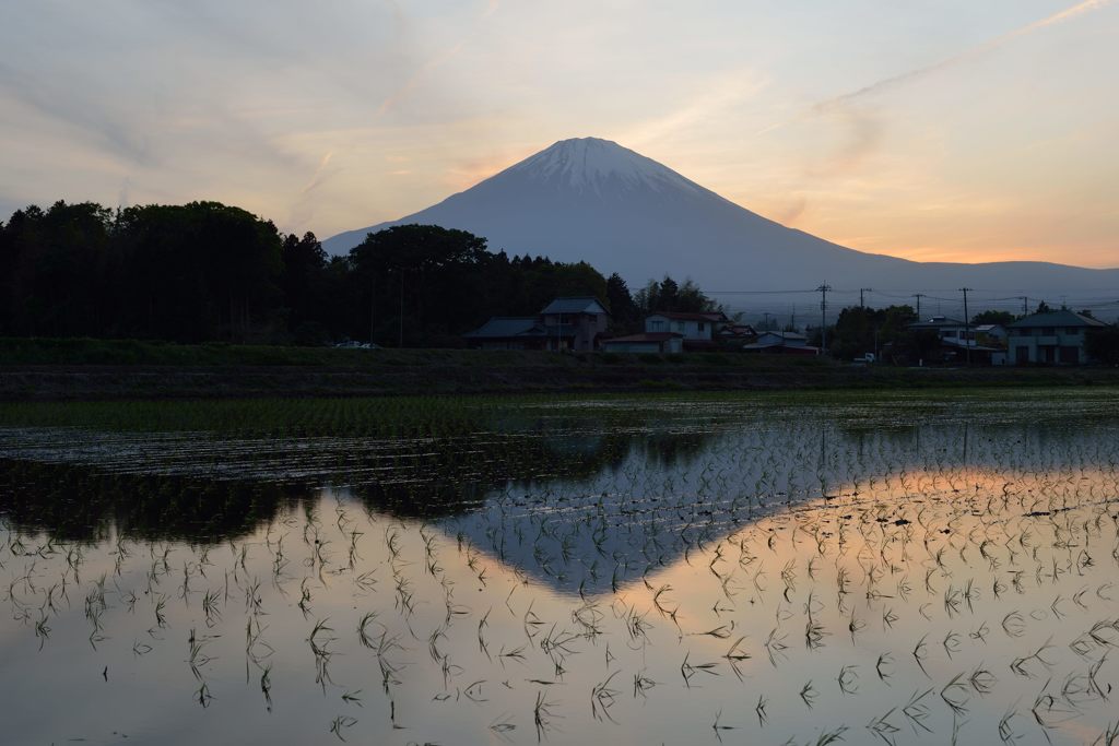 週末の富士山（新作878）