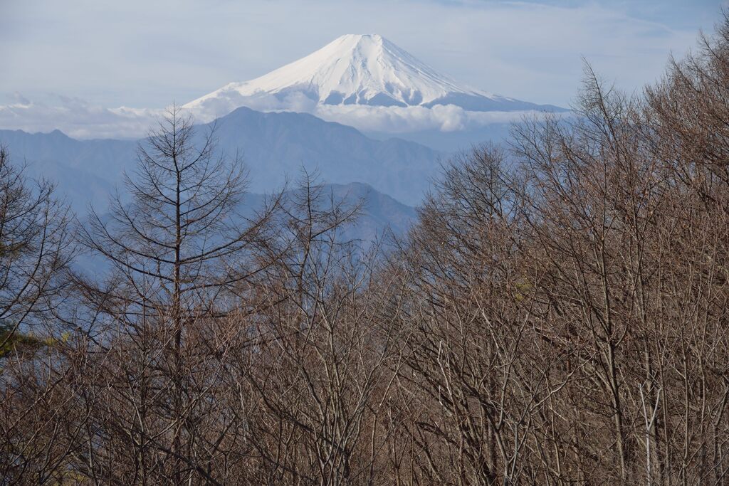 週末の富士山（新作1353）