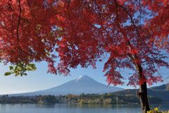 平日の富士山899