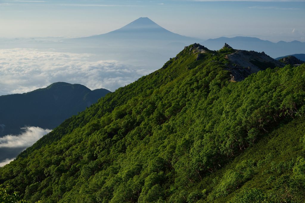 週末の富士山（新作692）
