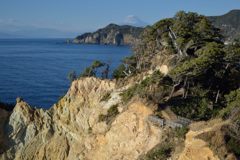 週末の富士山（新作723）